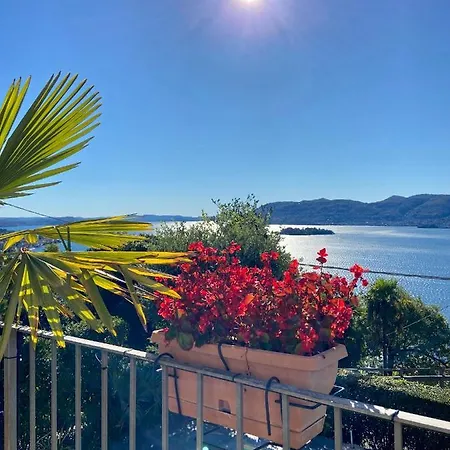 Rose On The * Verbania